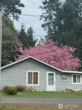 Now for the cottage.  This space is a real charmer.