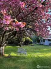 The blooms are out and the firepit is ablaze in the beautiful, private backyard.
