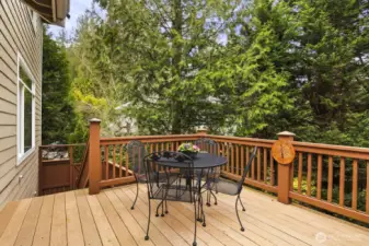 Trek deck overlooking the serene backyard
