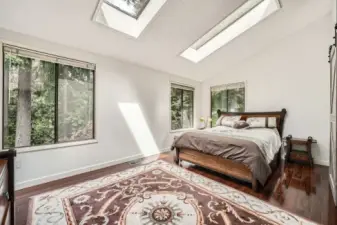 Skylights in the Main bedroom