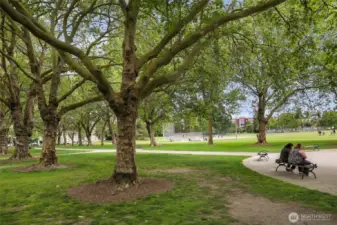 Green Lake is the perfect destination for summer picnics.