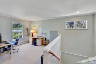 Loft/Den Space