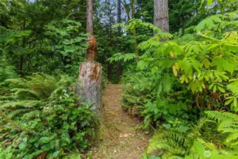 cut in paths throughout your yard