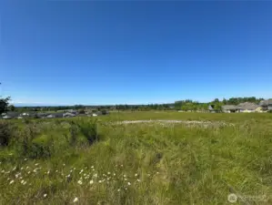 Approximate lot lines
