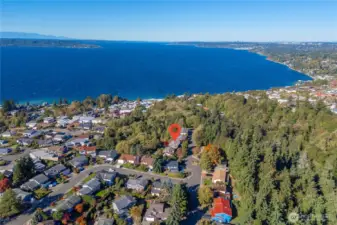 Lush Green Surroundings—a true retreat while still minutes to Redondo Boardwalk.