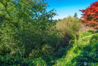 Backyard Oasis backs to a serene forested hillside with seasonal Puget Sound & Olympic views.