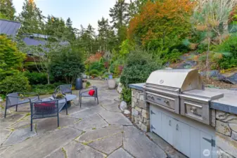 Back patio with built-in outdoor gas grill is surrounded by a mature, landscaped garden.