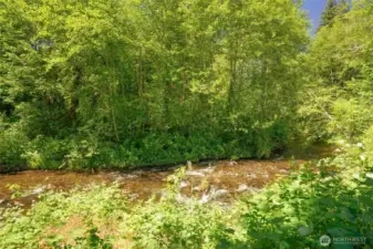 Fish out your back yard! or just cool your toes in the river!