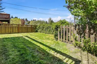 Fenced back yard