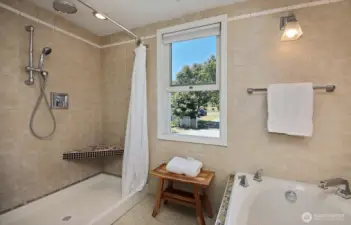 Primary Bathroom Shower