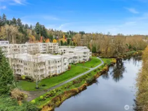 Extraordinary setting in the heart of Bothell!