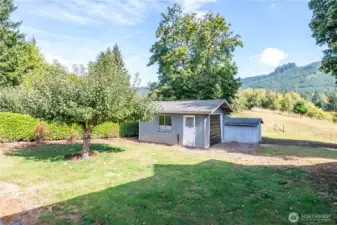 Fruit Tree and Garage