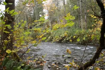 Peaceful river frontage for your private retreat!