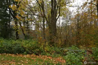 Great location within City limits.