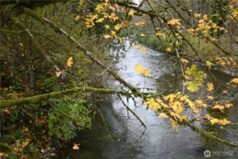 Your own paradise ~ life along the Wallace river.