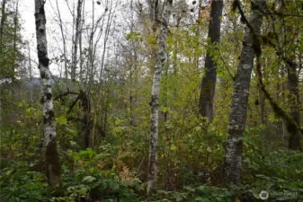 A haven for nature lovers.