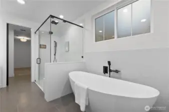 Steam Shower & soacking tub