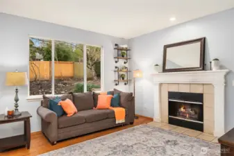 Lightfilled Family Room ~ w Gas Fireplace
