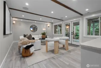 Downstairs media room