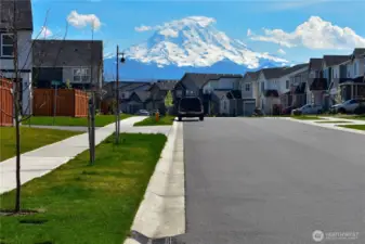 View of Mt. Rannier from neighborhood.