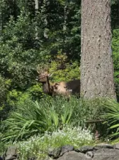 Friendly neighbors!