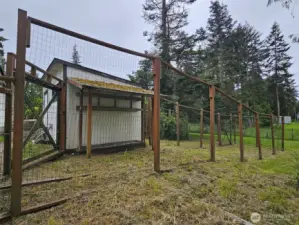Dog Run