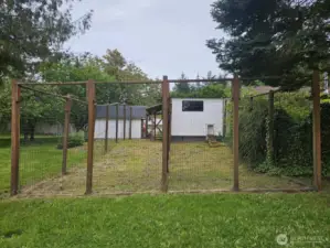 Dog Run