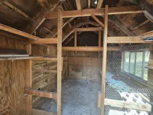 Chicken coop/Rabbit Hut