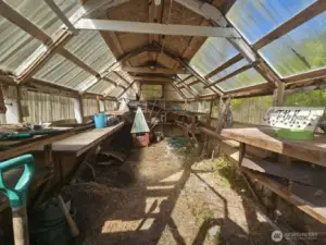 Interior of greenhouse
