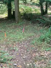 Corners at the back of the property.