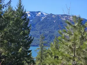 All these trees are on this parcel, take them down and it will open the lake views tremendously!