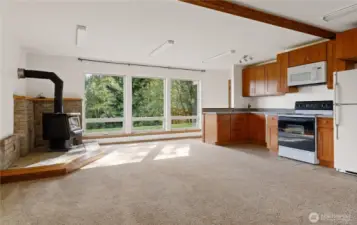 Lower level apartment