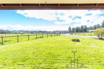 Yard entering the property