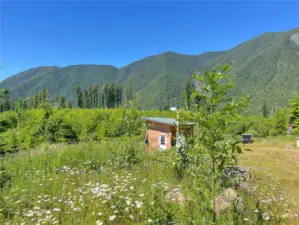 Totally secluded. The former owner planted aronia berries in one area of the site. The rest of the land is designated forest lands for incredibly inexpensive property taxes. Watch your investment grow !