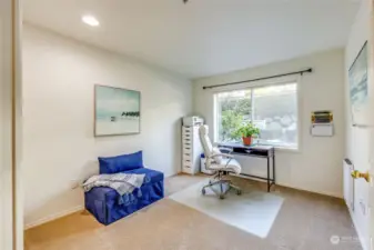 guest bedroom or office