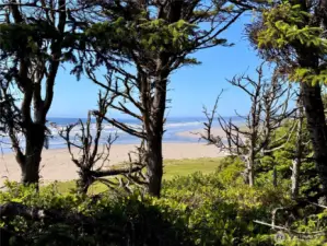 View from property