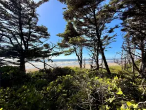 View from property