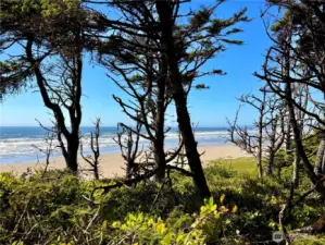 View from property