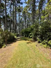 Community trail to the beach