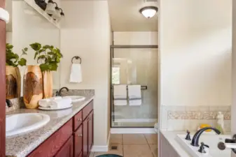 Spa-like private primary bath.