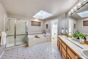 Primary bath is quite spacious and features a skylight and dual sinks.