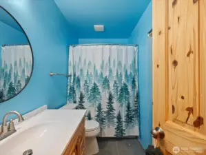 Lower level full bath