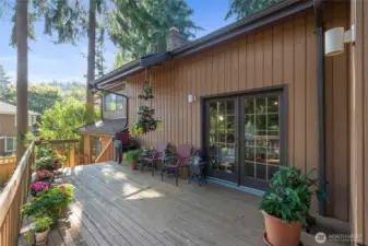 Expansive elevated deck surrounded by mature evergreens, offering a private outdoor retreat with ample space for seating, container gardening, and enjoying the peaceful natural setting.