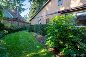 Serene side yard with established landscaping, offering a tranquil garden path feel and additional outdoor space.