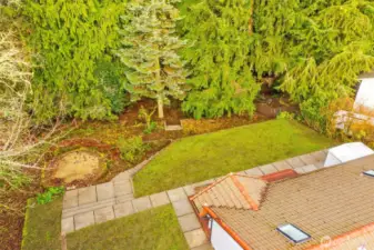 view of rear yard and treed area.