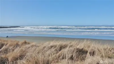 Enjoy these gorgeous views of the Pacific Ocean and Jetty from this Ocean front, multi-family R-9 zoned lot.