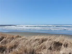 Watch the crashing waves of the Ocean.