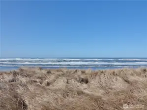 Views of the Ocean.