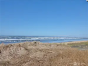 Northwest Views of the Ocean.