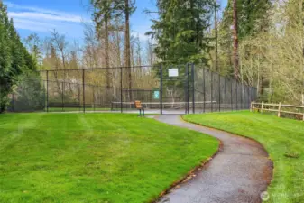 Wesley Park community Sports Court